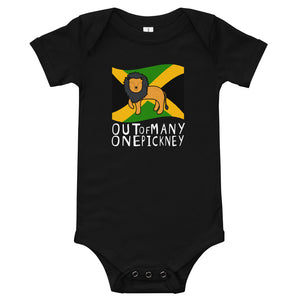 Independence Day Onesie