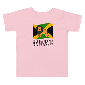 Independence Day Toddler Tee