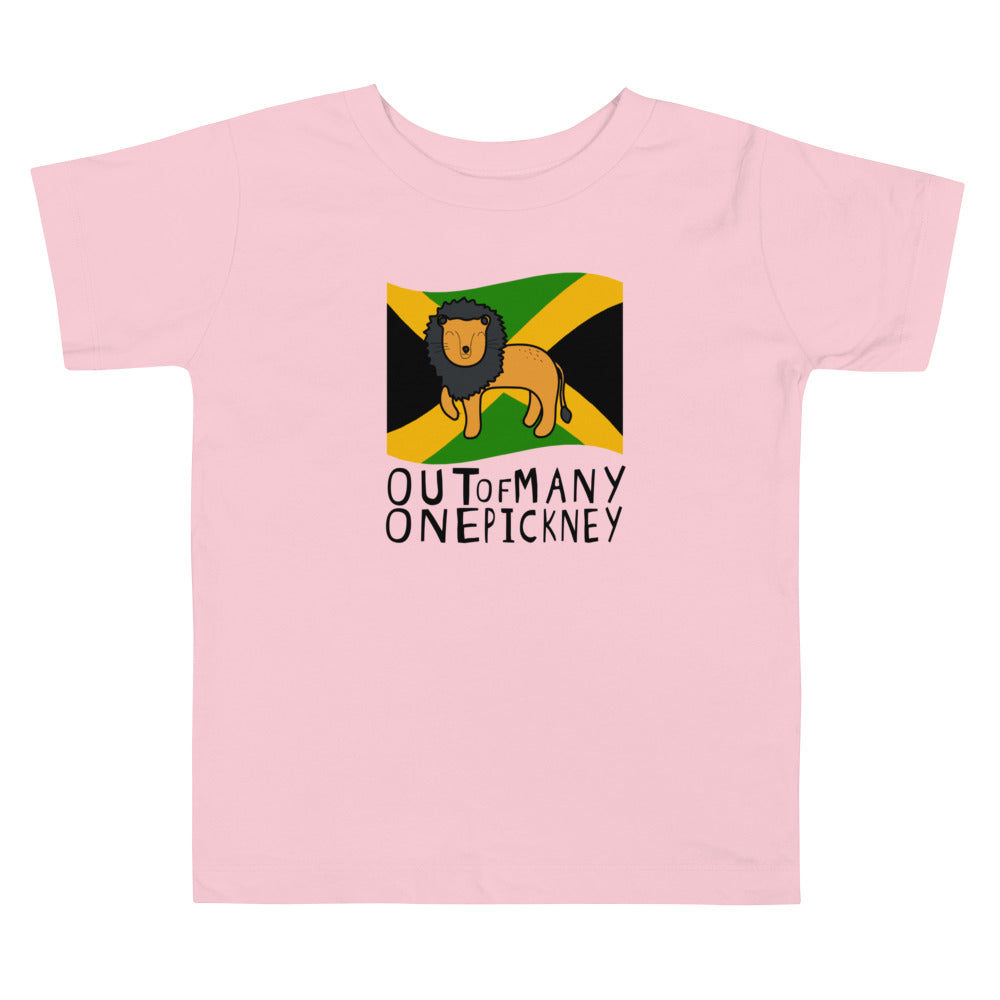 Independence Day Toddler Tee